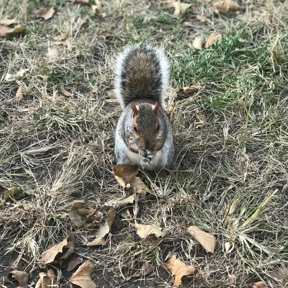 Meet your Posher, Najma